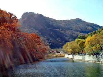 新澳天天开奖资料大全旅游团，石油焦